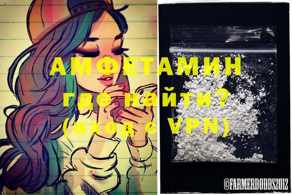 каннабис Новозыбков