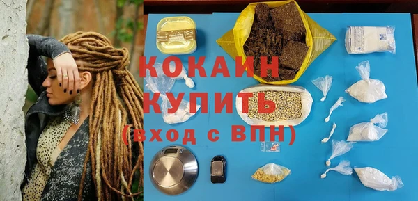 каннабис Новозыбков