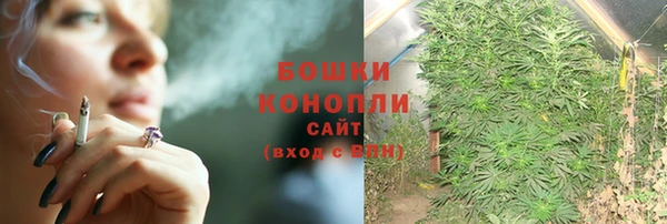 прущие грибы Болхов
