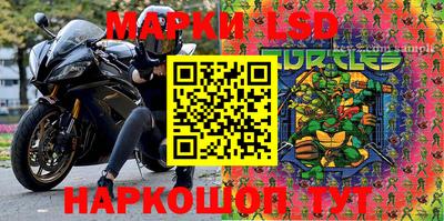 шишки Апшеронск