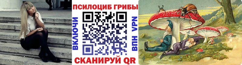 Галлюциногенные грибы Psilocybine cubensis  Владимир 