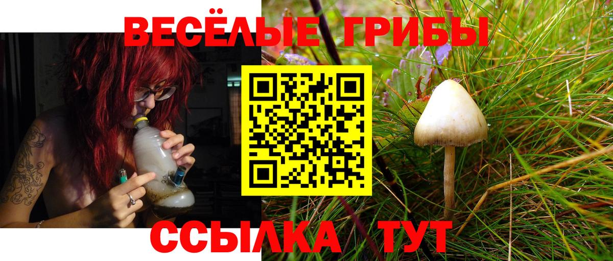 Псилоцибиновые грибы Magic Shrooms Владимир