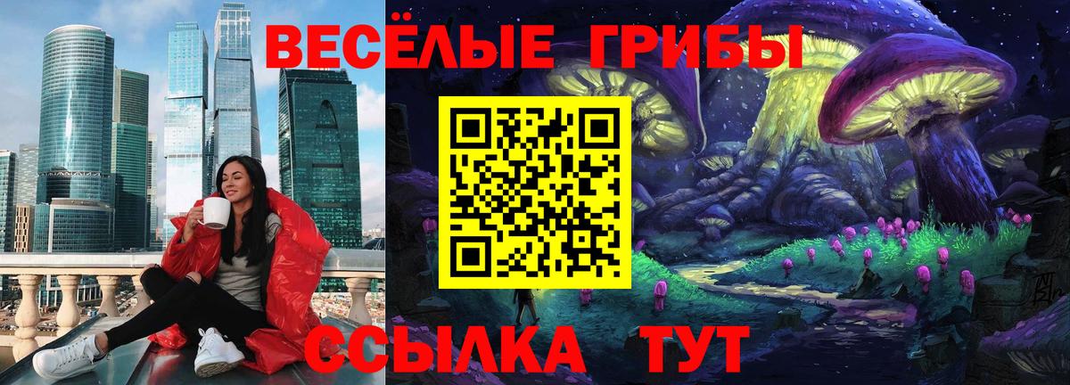 цены наркотик  Псилоцибиновые грибы Psilocybe  Вход с VPN  Владимир 