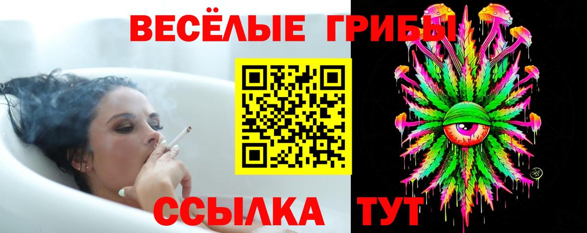 цены наркотик  Псилоцибиновые грибы Magic Shrooms  Владимир  Псилоцибиновые грибы MAGIC MUSHROOMS 