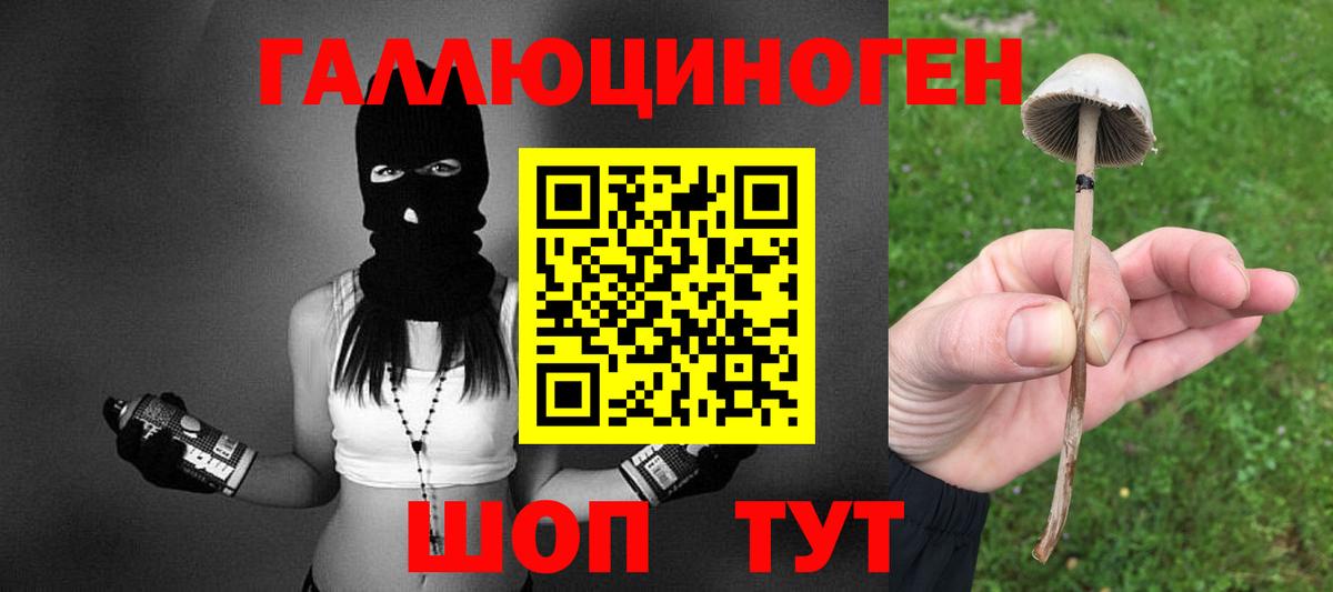 Владимир  Молли  МАРИХУАНА  Марихуана  Альфа ПВП  Вход с VPN  Гарик  Меф 